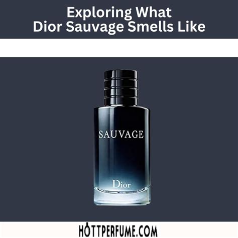 Dior Sauvage smell like